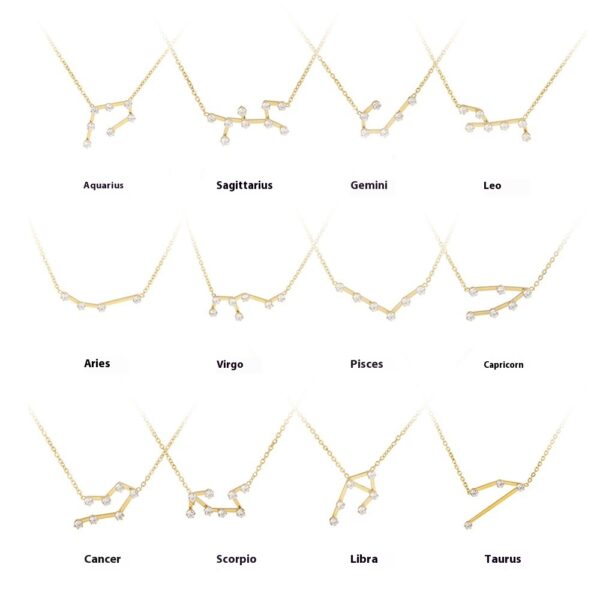 Diamond Guard Titanium Steel Clavicle Chain Necklace, Twelve Constellations Titanium Steel Necklace for Women, Elegant Diamond Guard Clavicle Chain Necklace